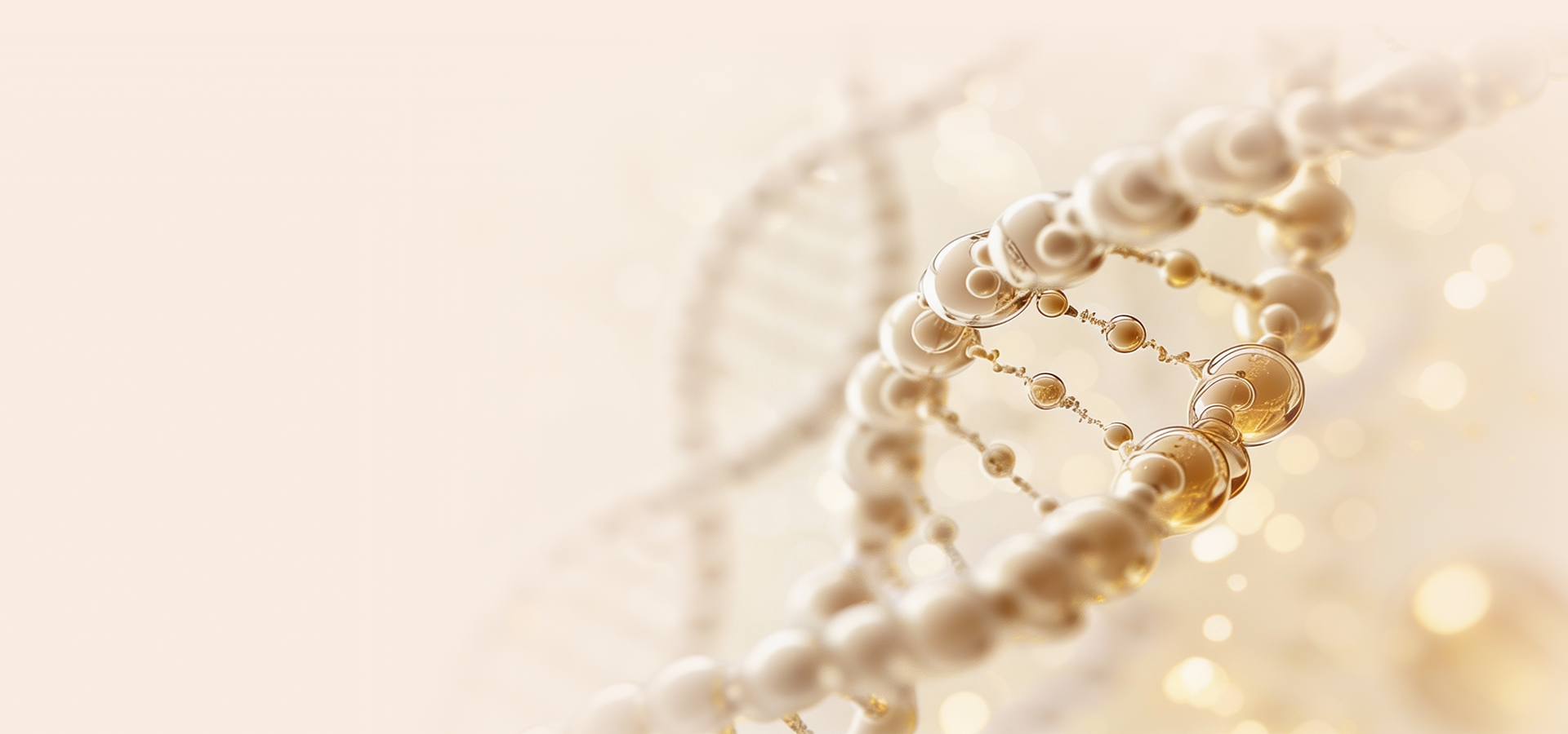 New Banner image for Desktop