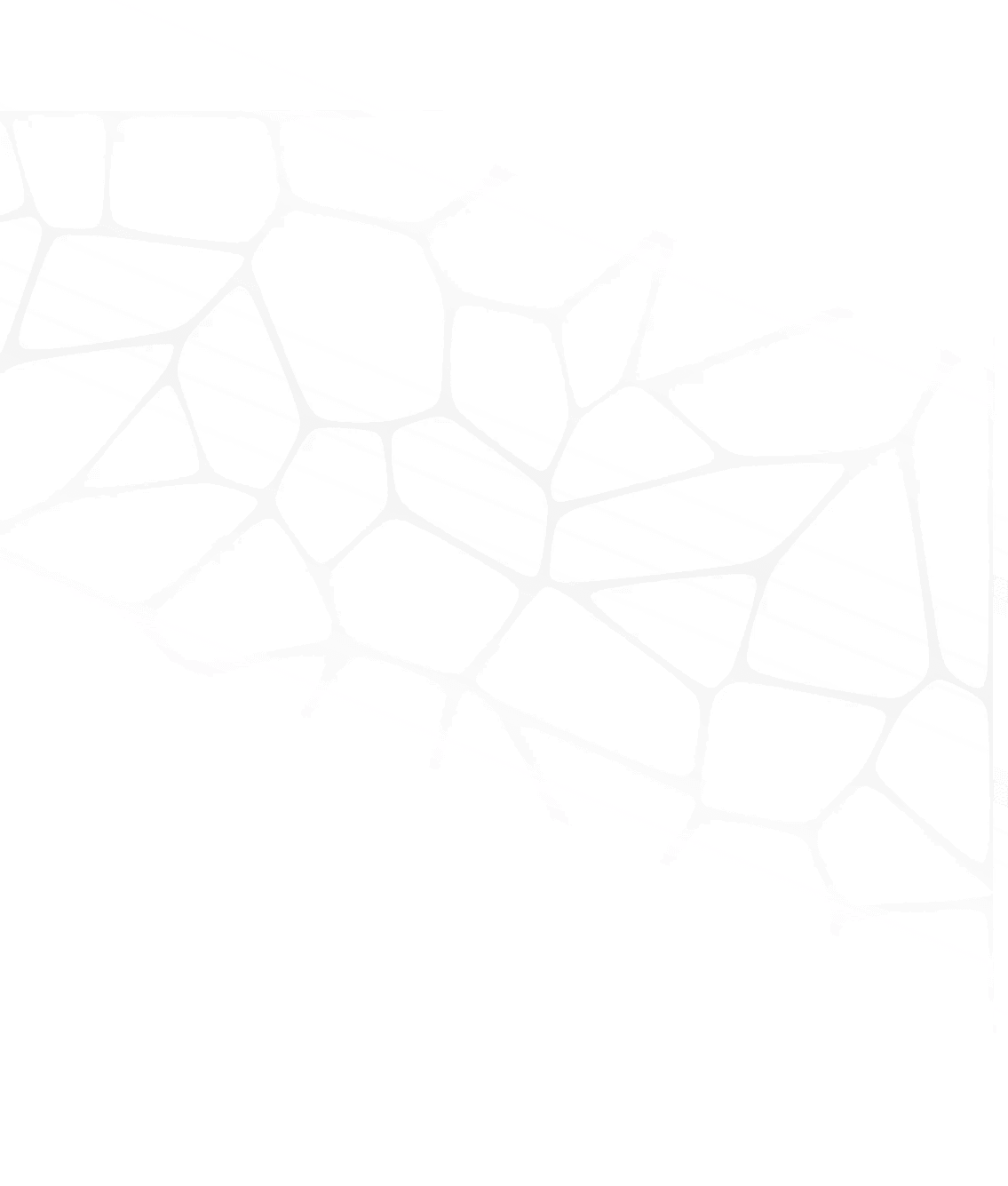 Section Shape in left side