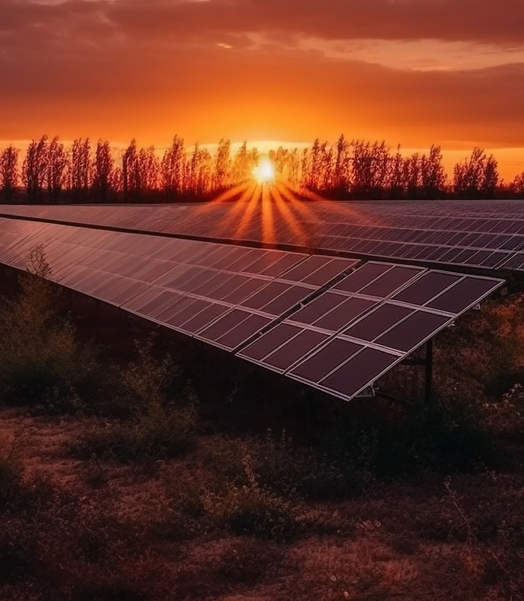 Sonergio-service-one-project-solar-panel-installation