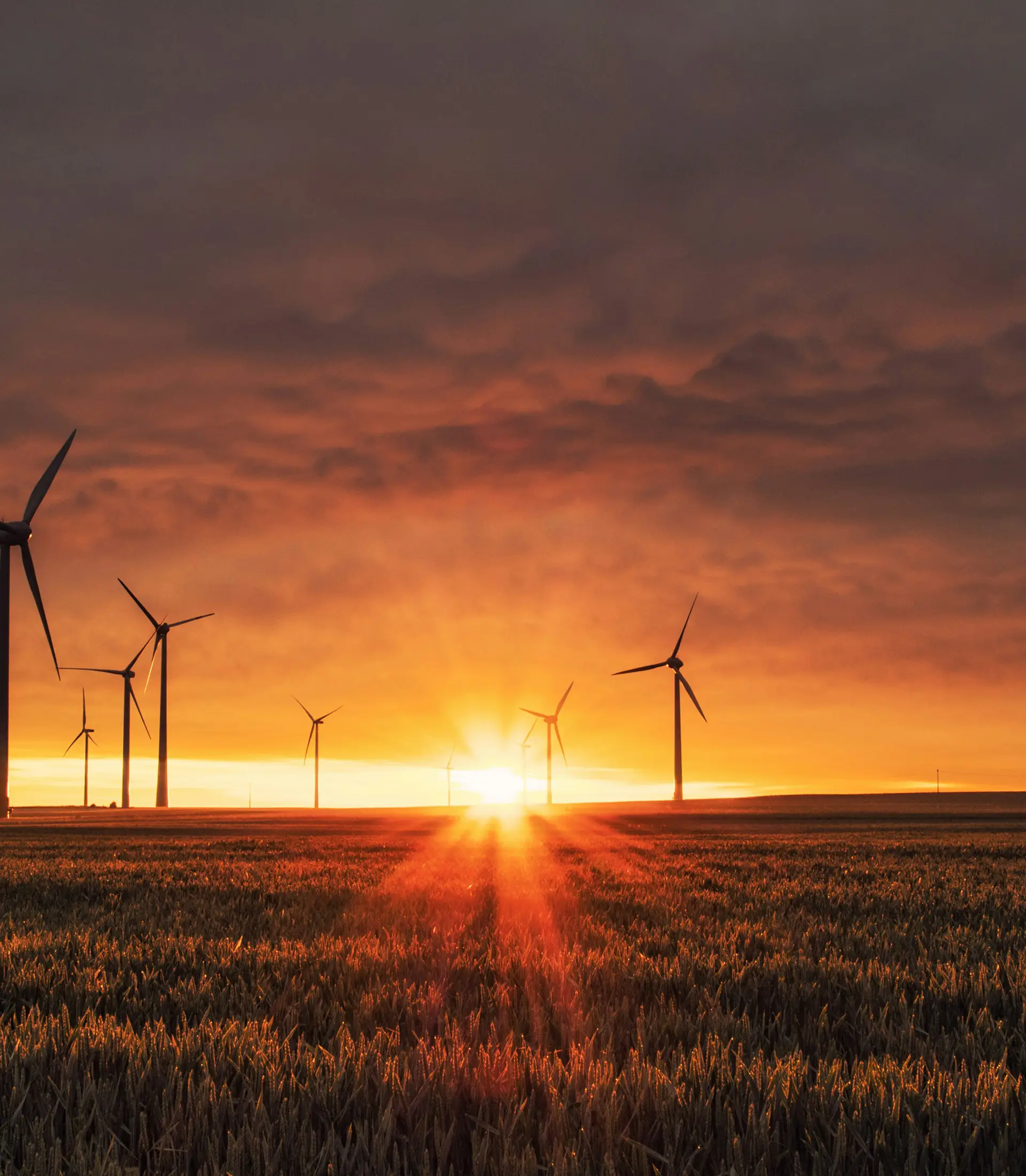 Sonergio-service-one-assessment-for-solar-consultation