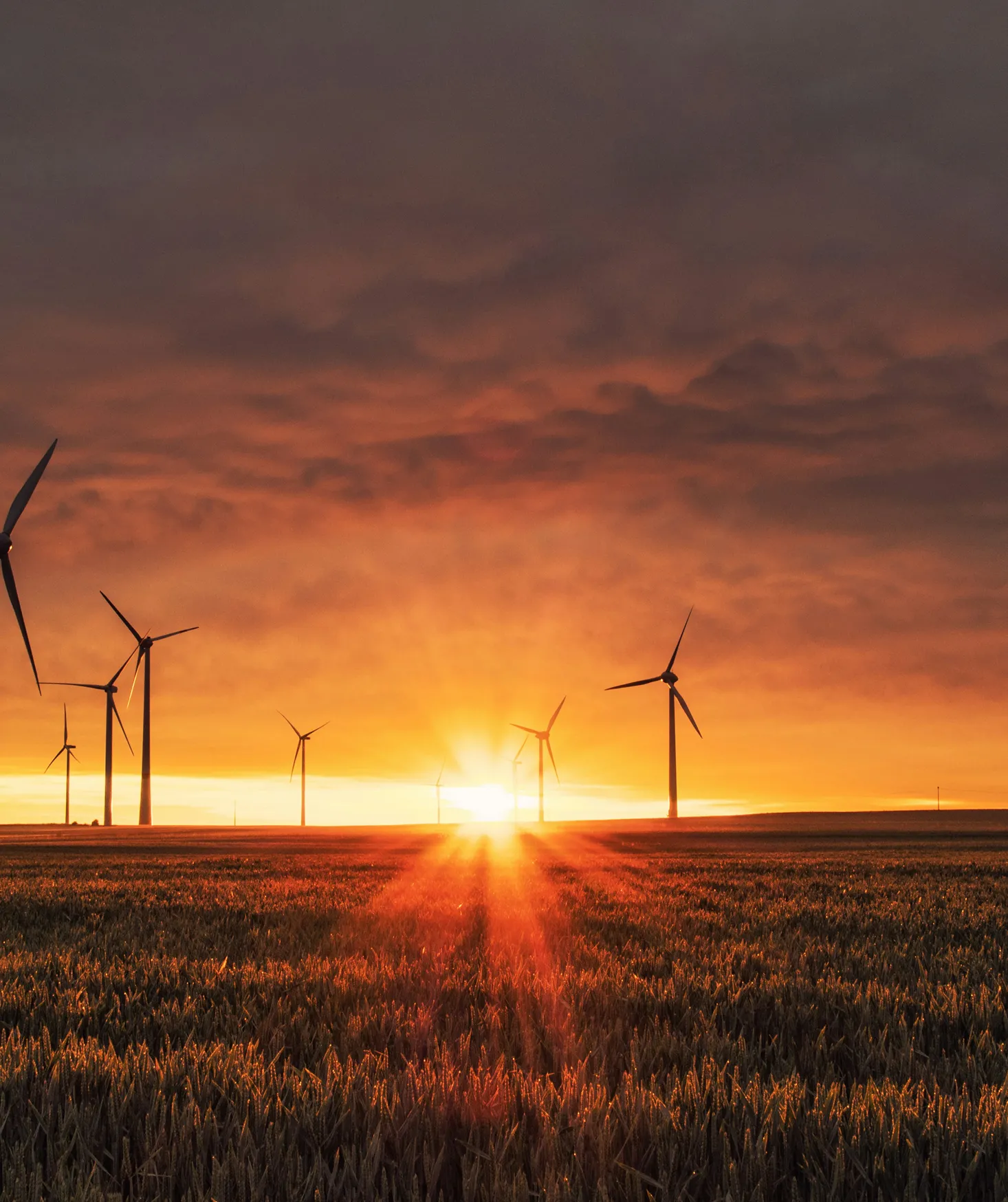 Sonergio-about-two-energy-audit