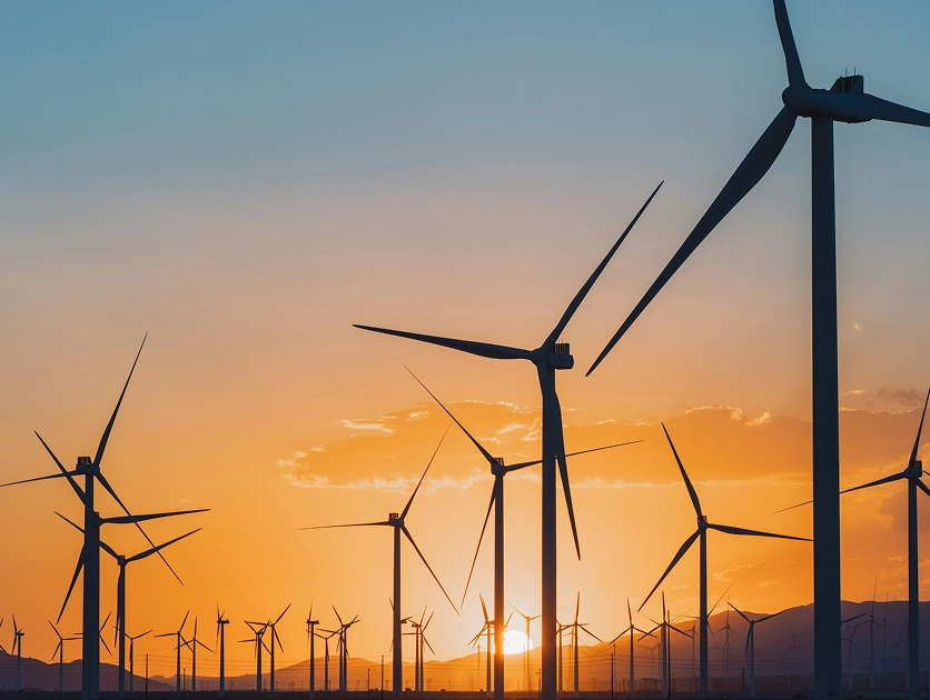 Sonergio-home-two-leading-the-charge-image-left