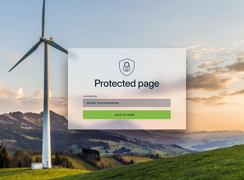 Sonergio-landing-page-password-protected