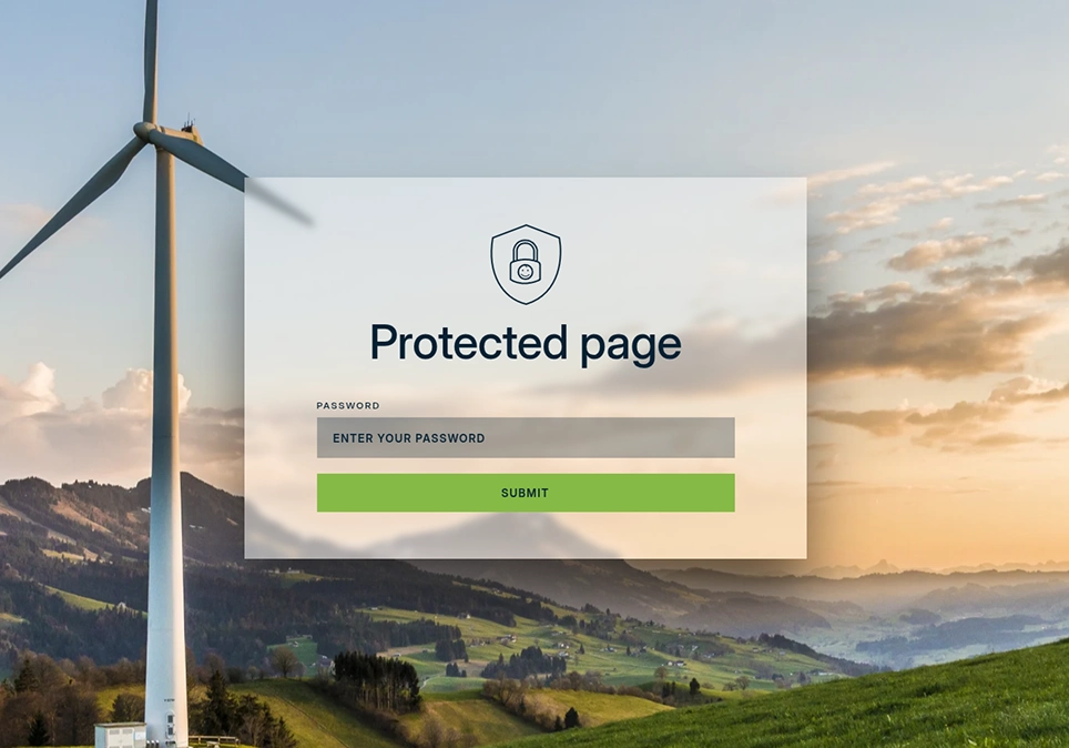 sonergio-landing-page-password-protected