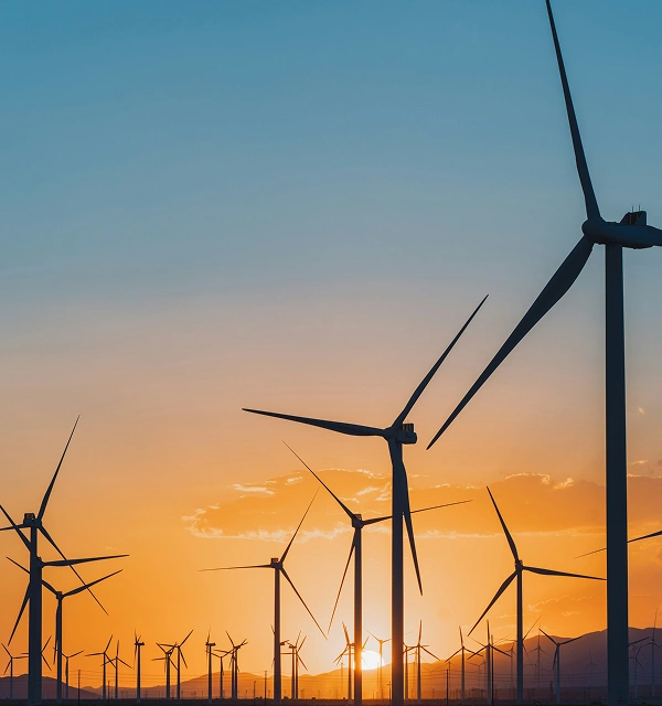 portfolio-picture-three