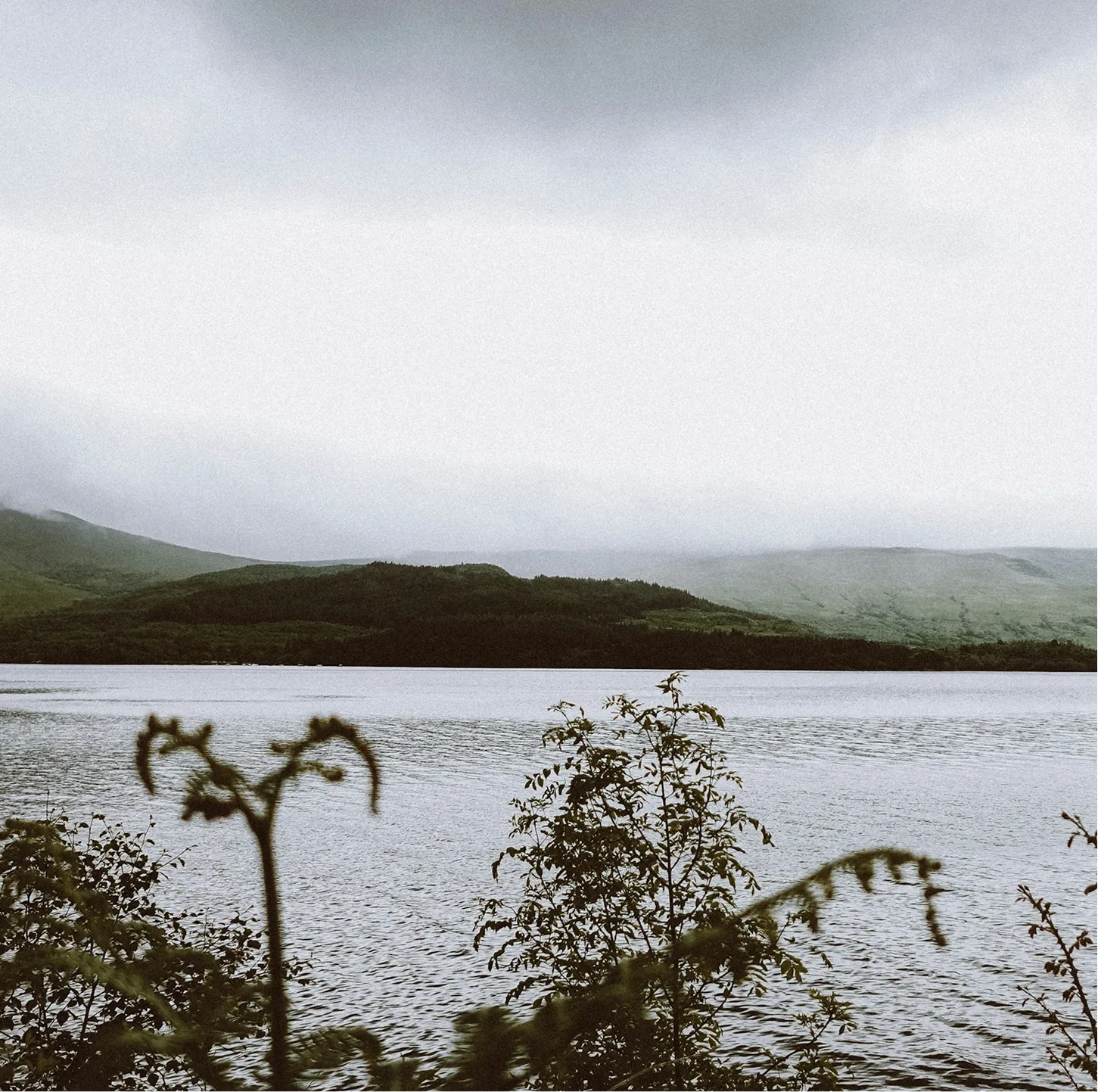 Calm lake with rippling water in front of a forested hillside under a cloudy sky.