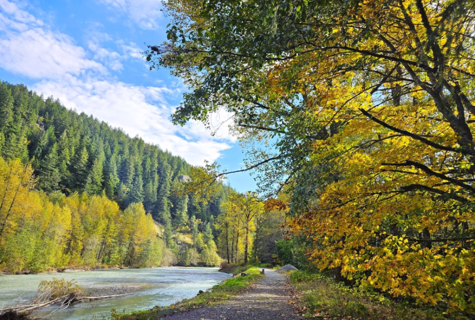 River flowing alongside a forested path with trees showing autumn colors under a partly cloudy blue sky.