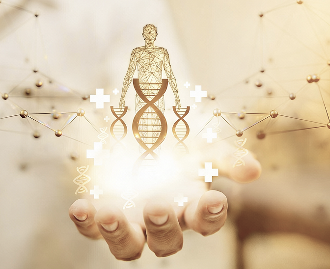 Therapies & Protocols tailored to you