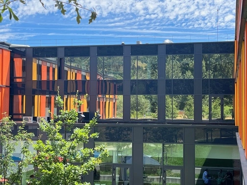 Bâtiment moderne avec grandes fenêtres reflectant un ciel bleu et des arbres, avec un arbre vert au premier plan.