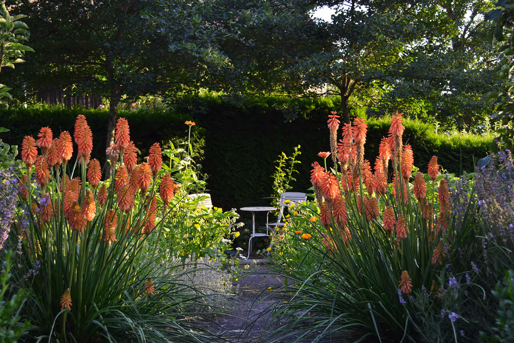 Impression aus dem botanischen Garten
