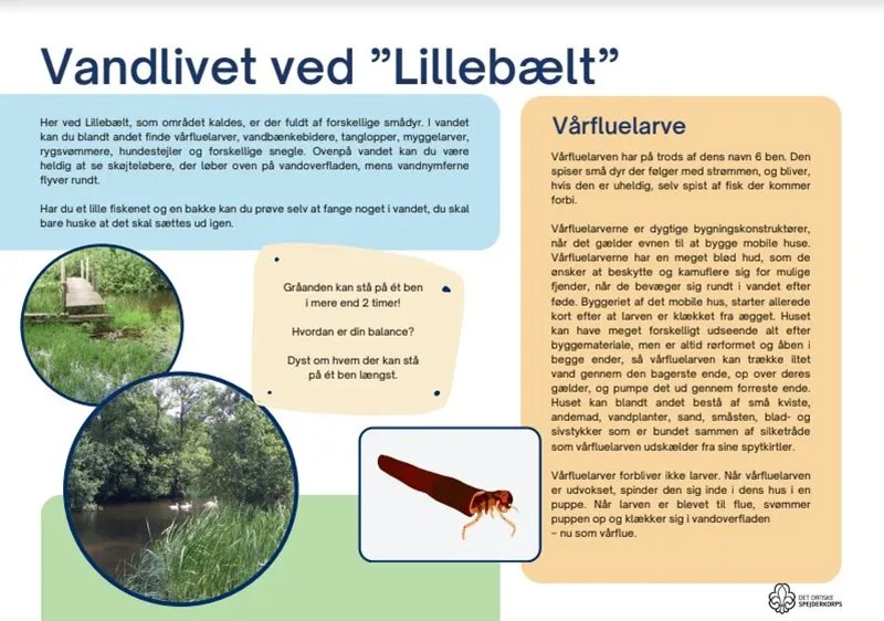 An infographic on the Kulsø lake