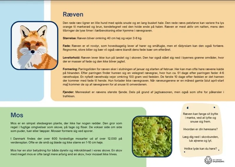 An infographic on the common Danish fox