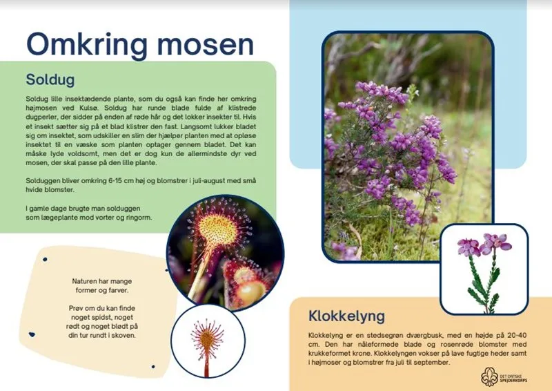 An infographic on the Kulsø bog