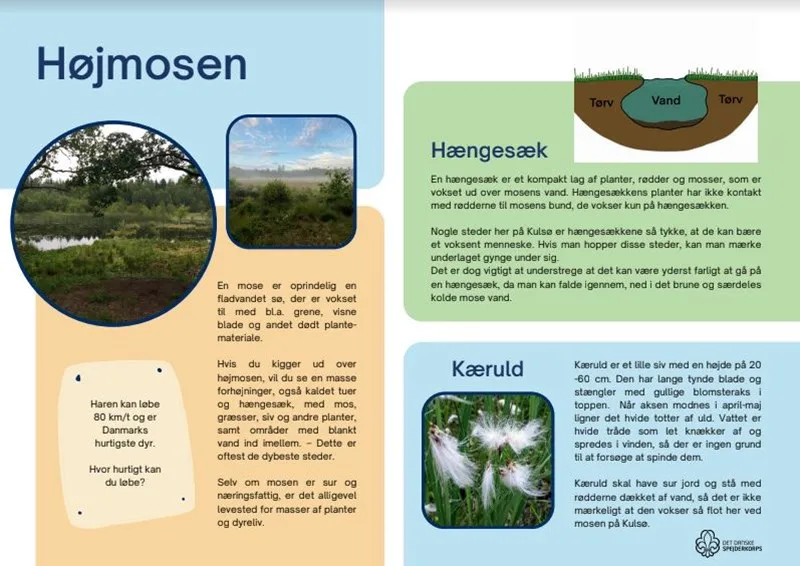An infographic on the Kulsø bog