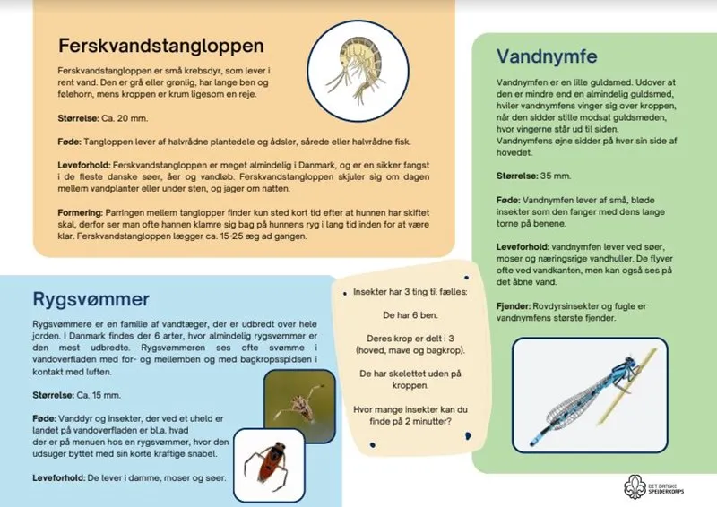 An infographic on the Kulsø waterlife