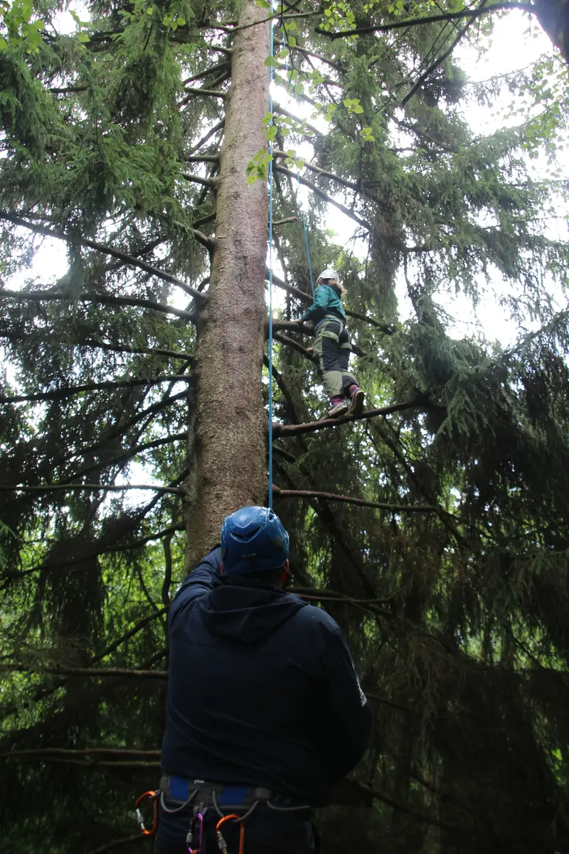 A kid climbing a tree under supervision