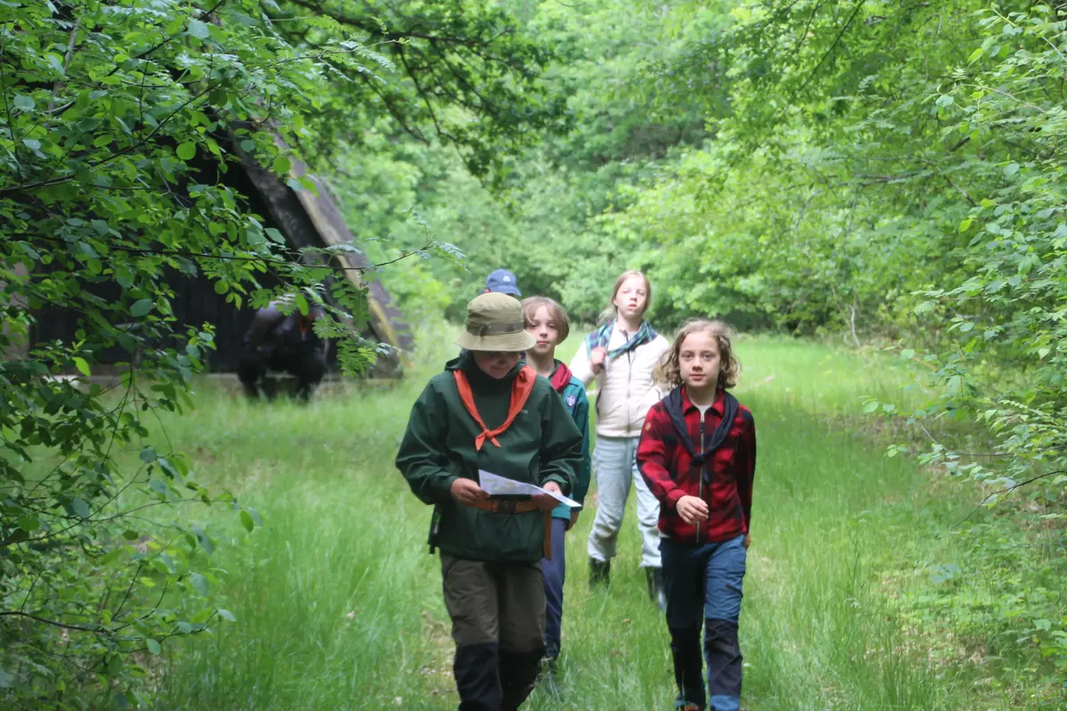 A group of kids on a forest adventure