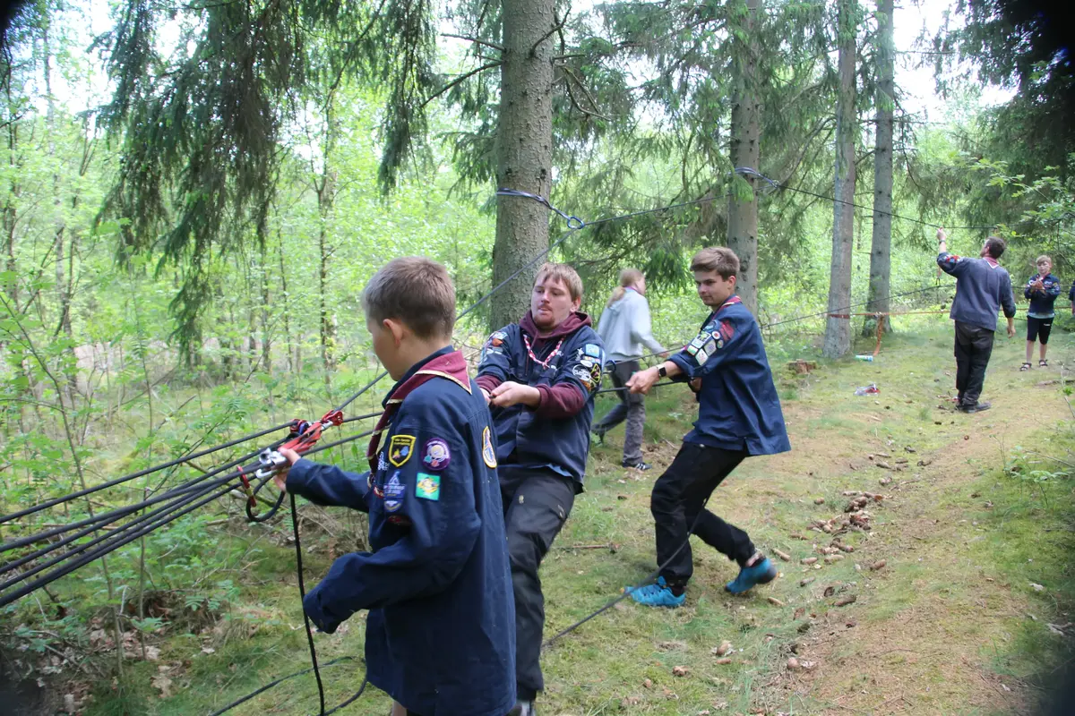 A group of people tying ropes to trees