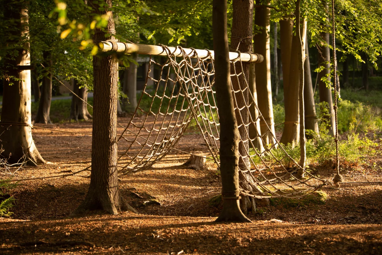 Touwen klimnet bevestigd aan bomen in een bos met zonlicht dat op de grond valt.