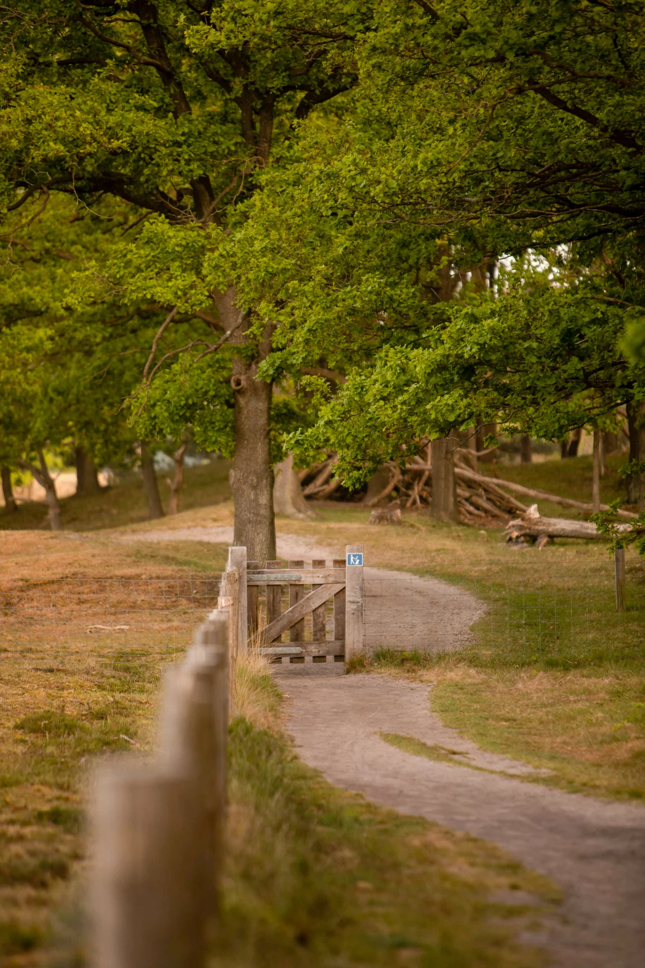 Een landelijk pad dat loopt langs een houten hek en een poort met groene bomen eromheen.