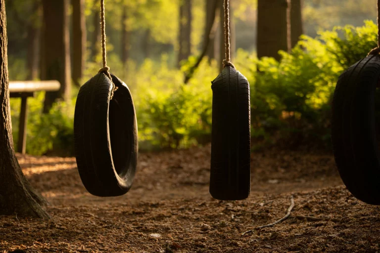 Drie autobanden die met touwen aan bomen hangen in een bosrijke speeltuin bij zonlicht.