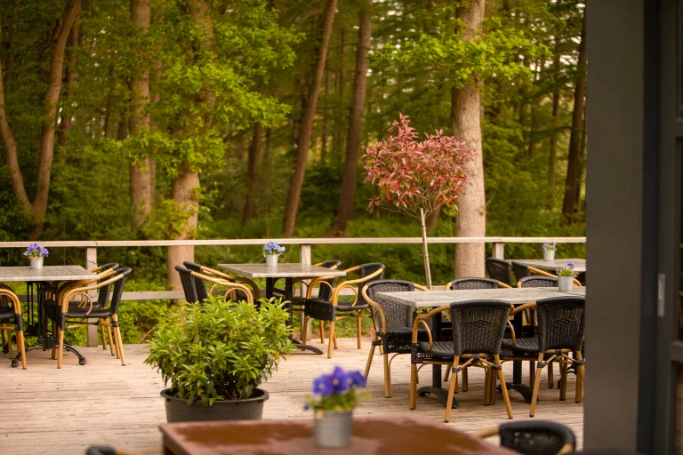 Buiten terras met rieten stoelen en tafels, omgeven door groen en bomen in een bosrijke omgeving.