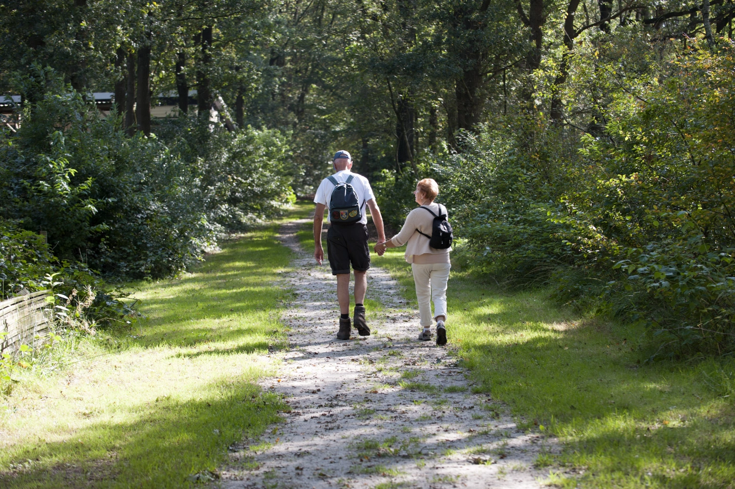 Ouder stel wandelt hand in hand over een schaduwrijke bospaadje omringd door groen.