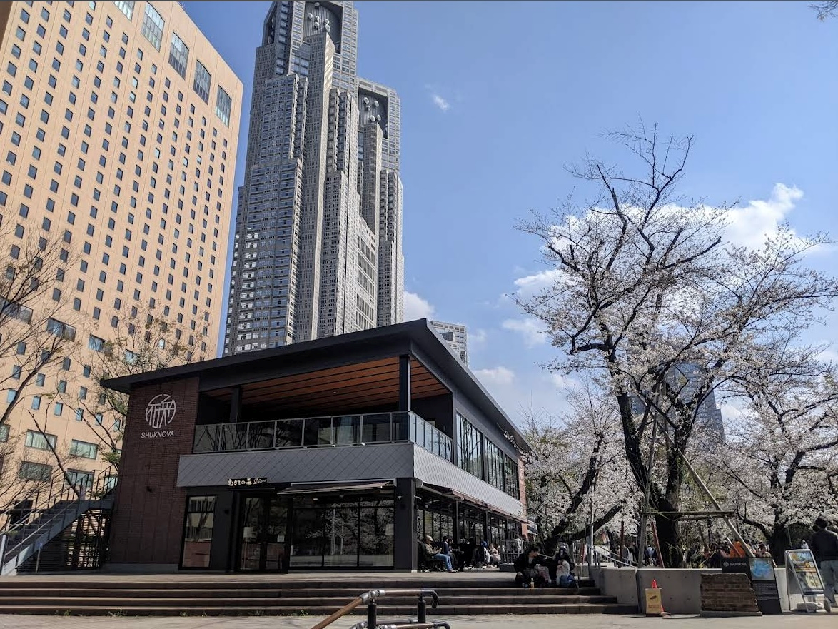 outdoor yoga by a tranquil lake