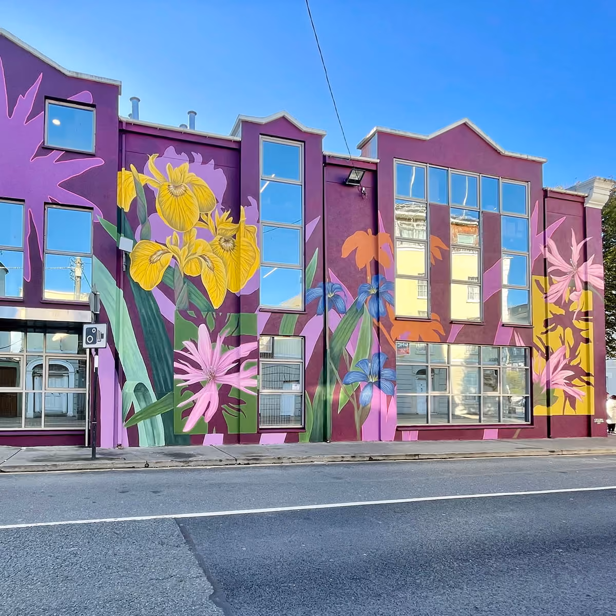 Large-scale floral mural on the side of a building, painted in purple, magenta and yellow tones with yellow irises, pink and blue flowers, created during Floating Voices' 2024 community programme in Waterford.