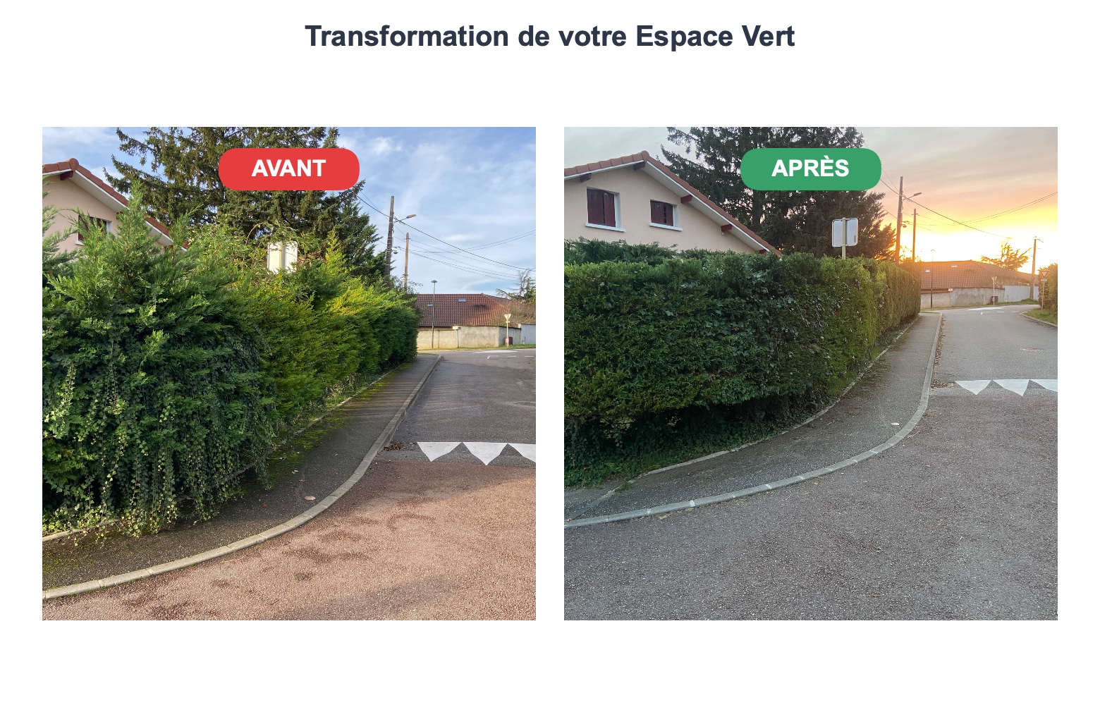 entretien haies Meximieux – taille haies