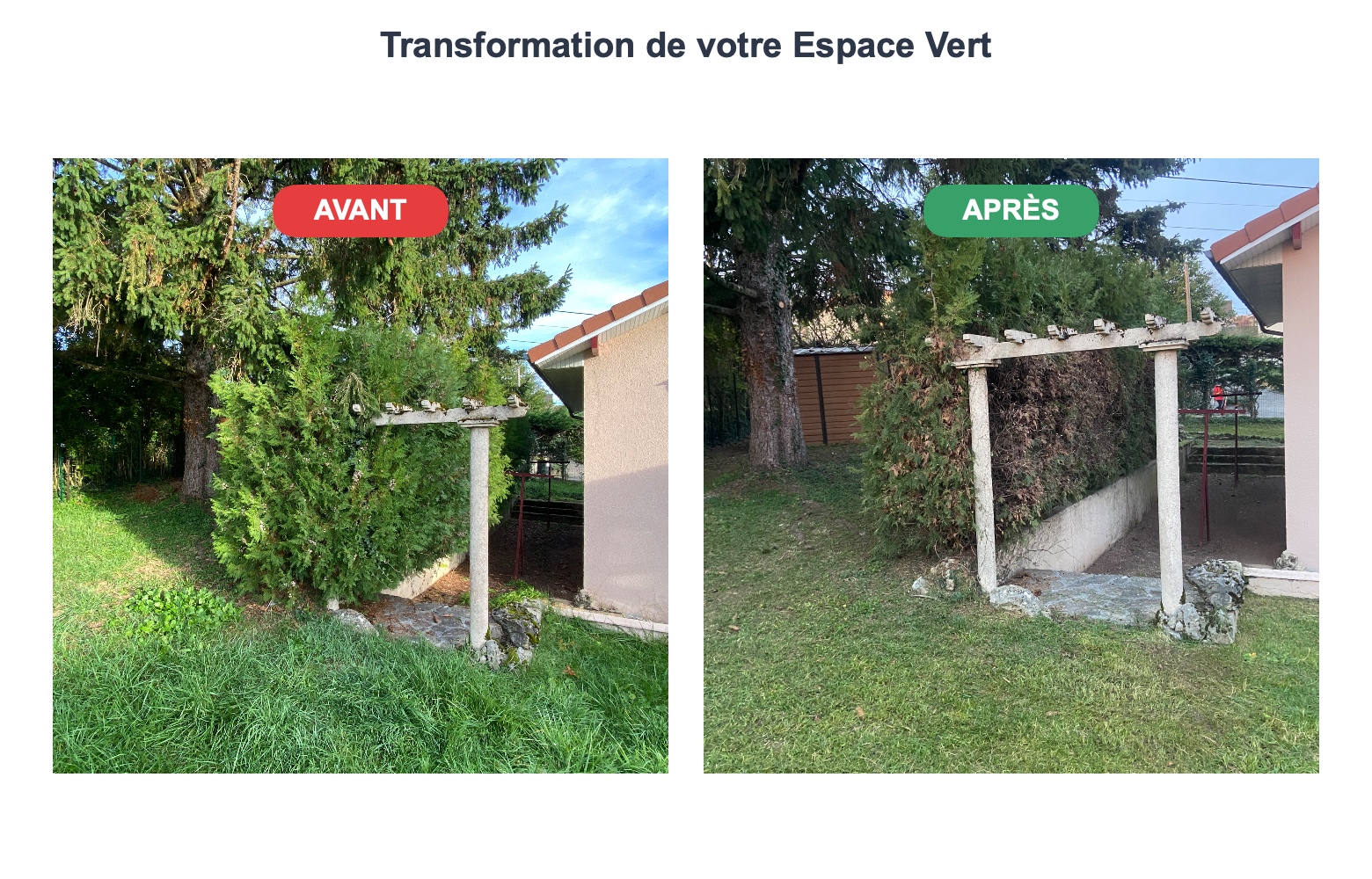 jardinier Meximieux – entretien de jardin – 1Pro Multiservices
