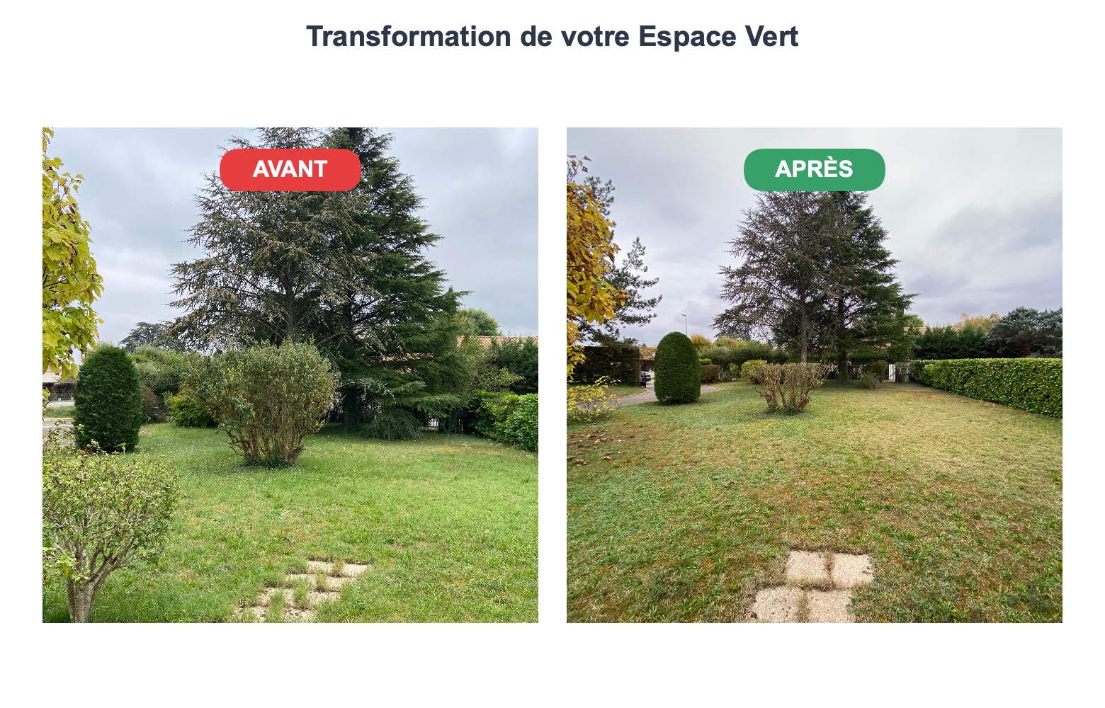 tonte pelouse Meximieux – multiservices