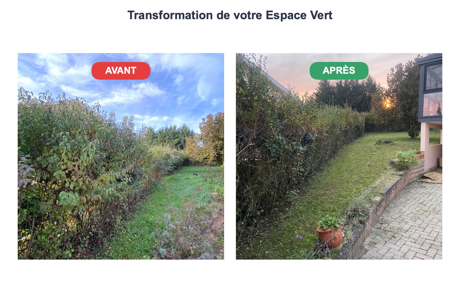 jardinier Meximieux – entretien de jardin – 1Pro Multiservices