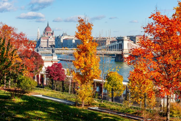 Autumn trees with vibrant orange and yellow leaves in front of a river with a historic bridge and a large, ornate building in the background under a blue sky.