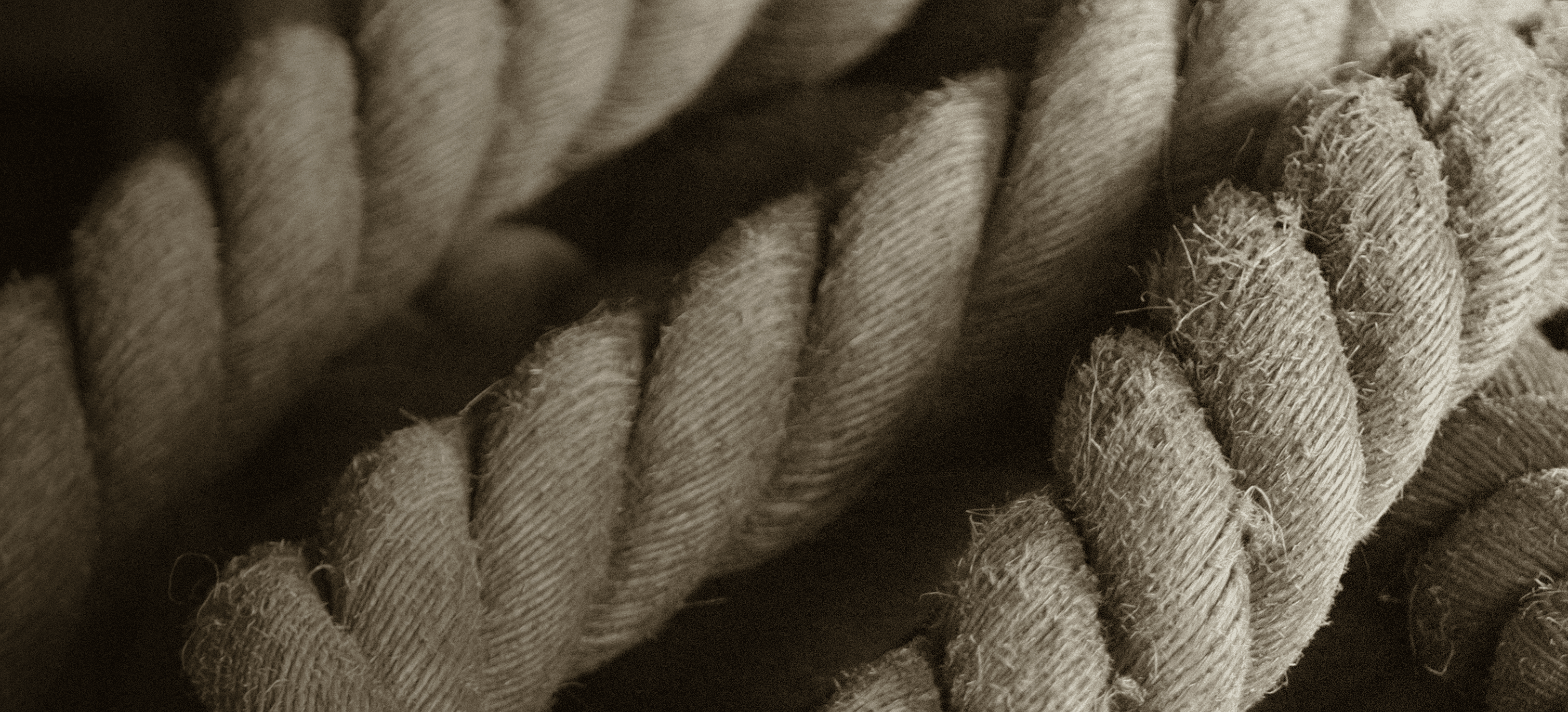 Primer plano de cuerdas gruesas trenzadas con textura fibrosa en tonos sepia.