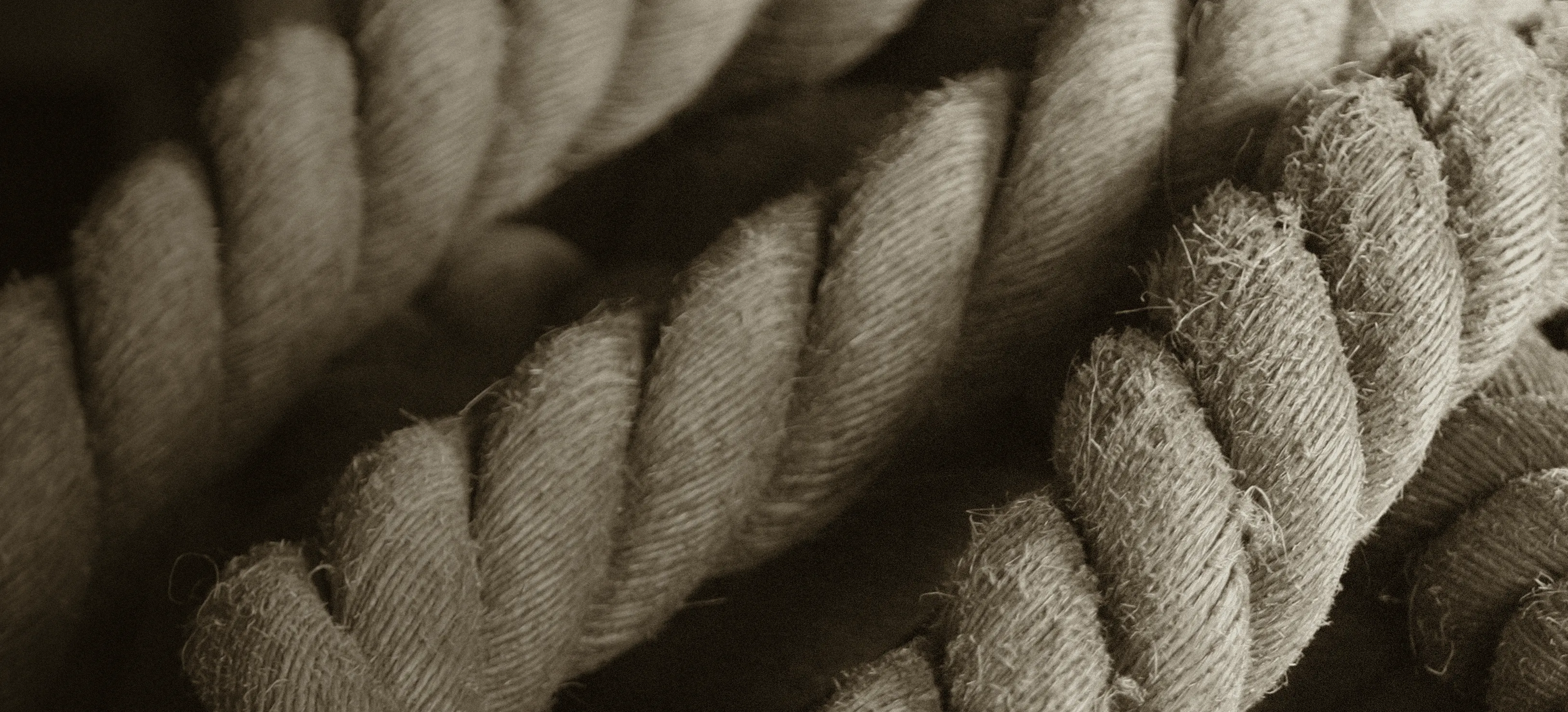 Primer plano de cuerdas gruesas trenzadas con textura fibrosa en tonos sepia.