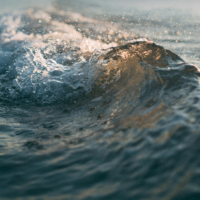Ola del mar iluminada por la luz dorada del sol al atardecer.
