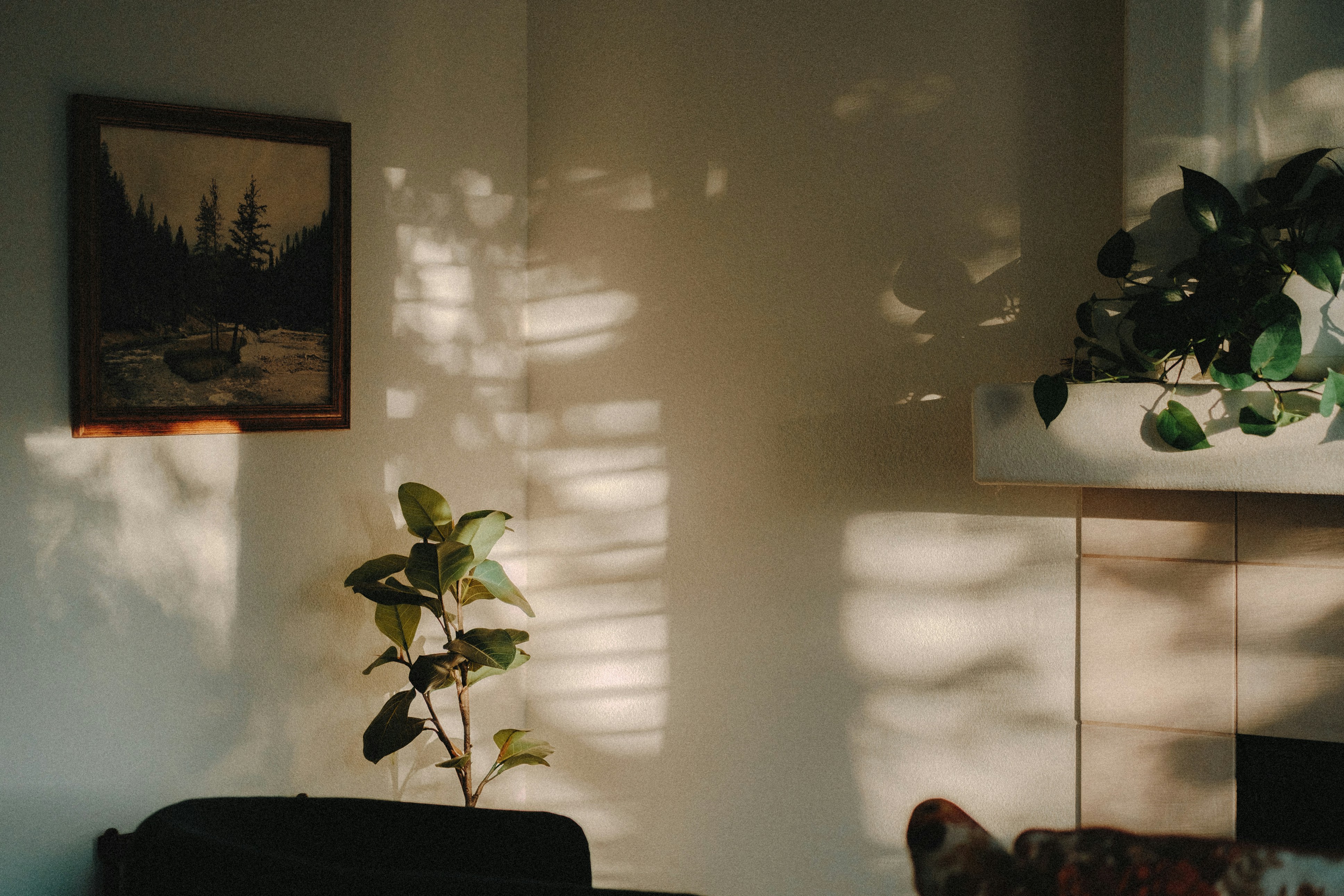 Deux enfants regardent par une fenêtre givrée avec des plantes vertes sur un meuble à côté.