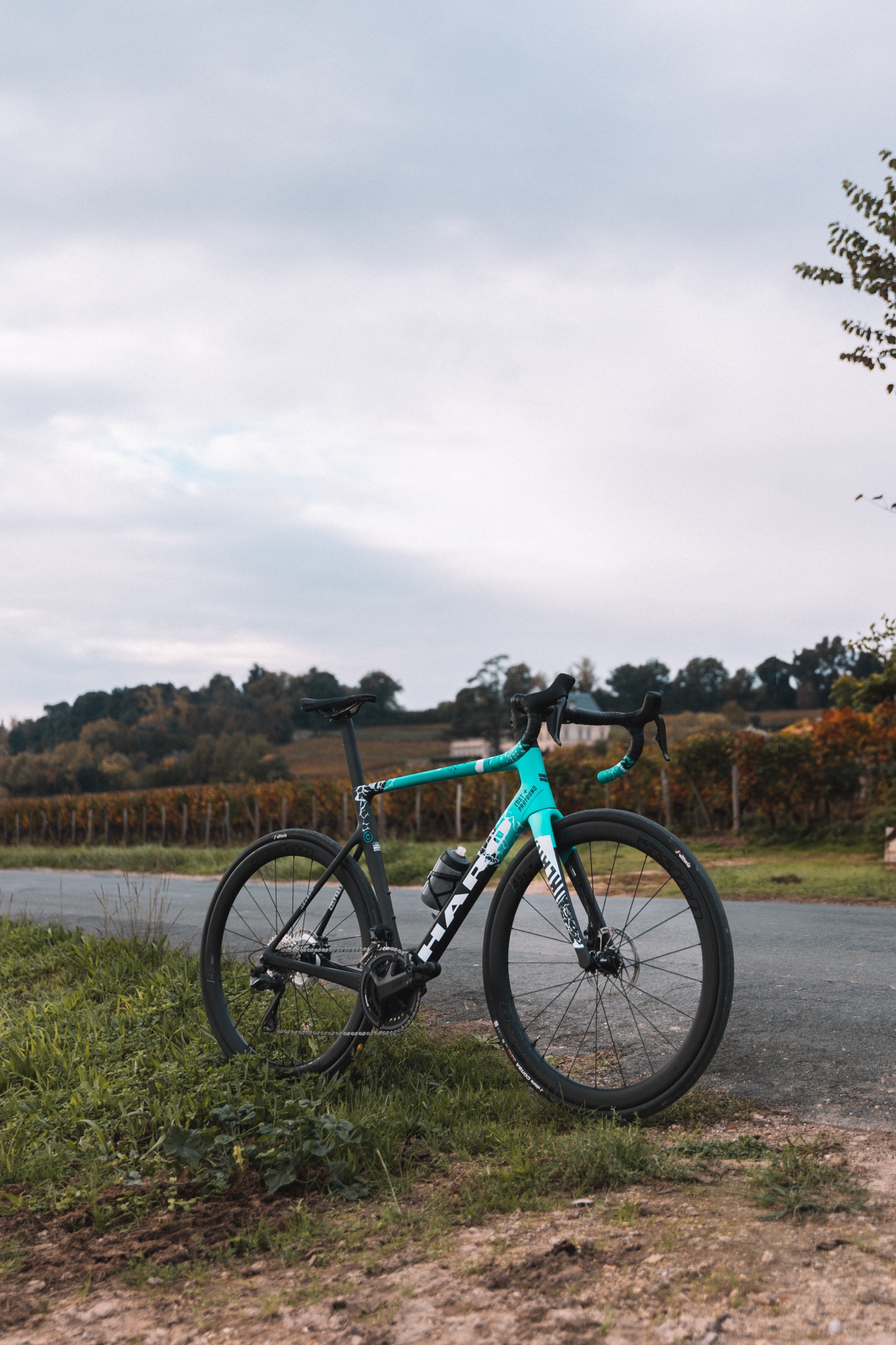 Prowheel