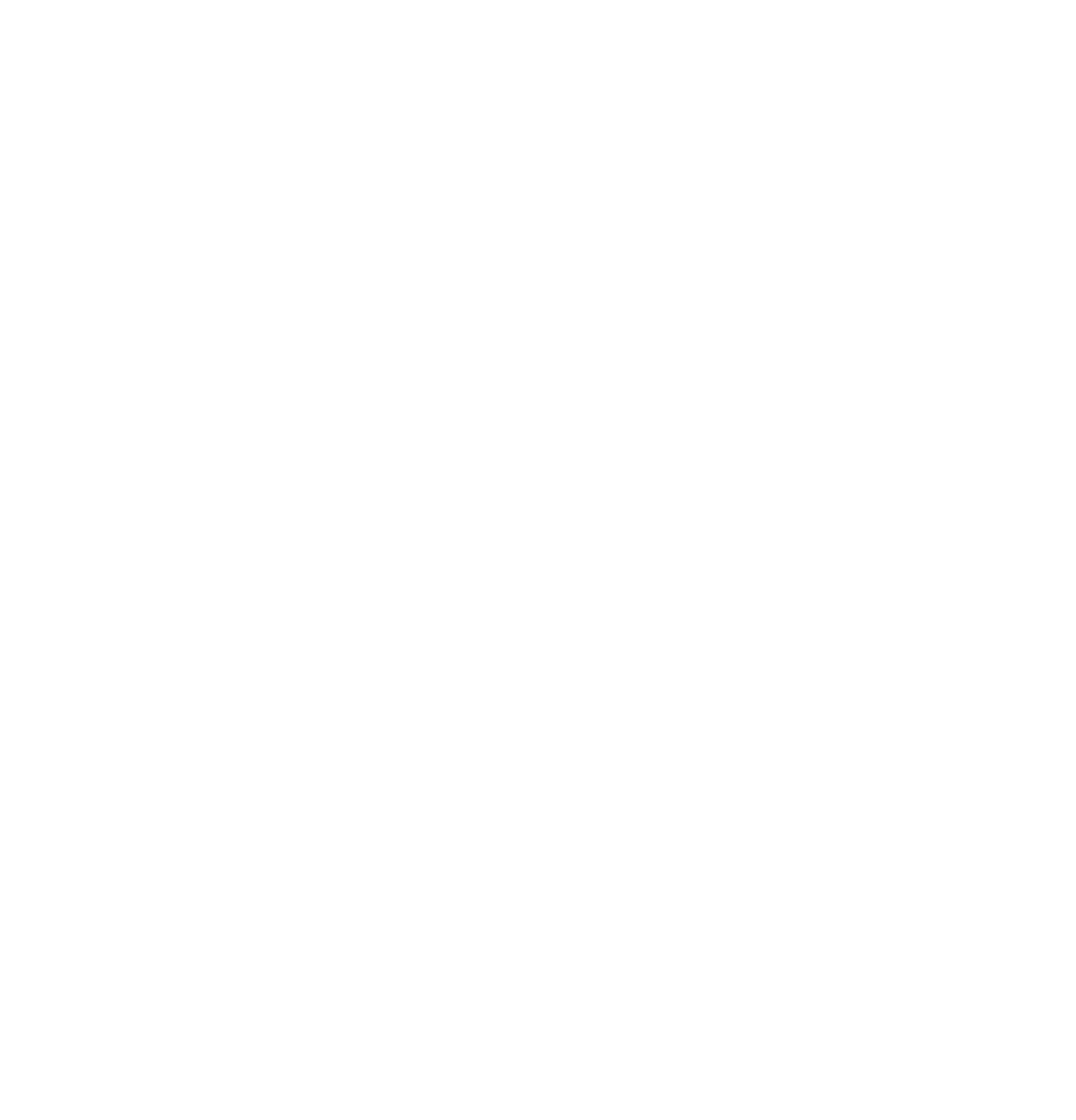 Stelz logo