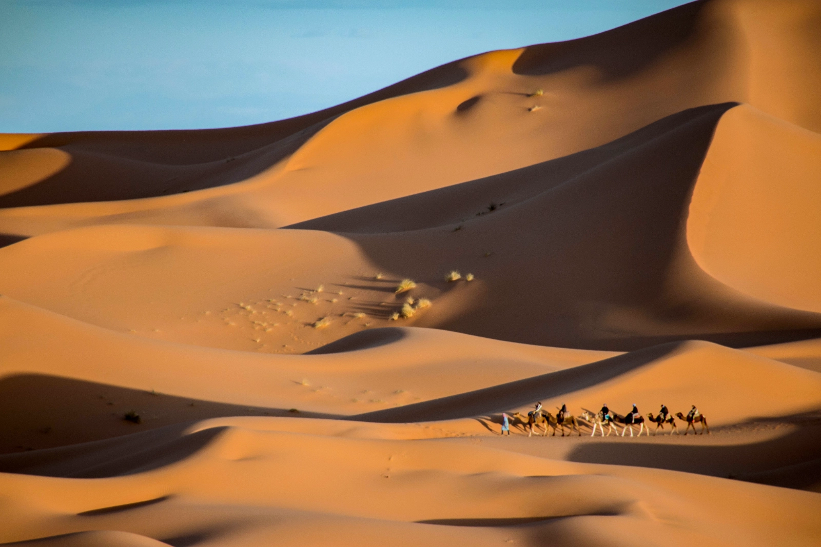 Wind-shaped dunes in the Moroccan Sahara at Erg Chigaga.