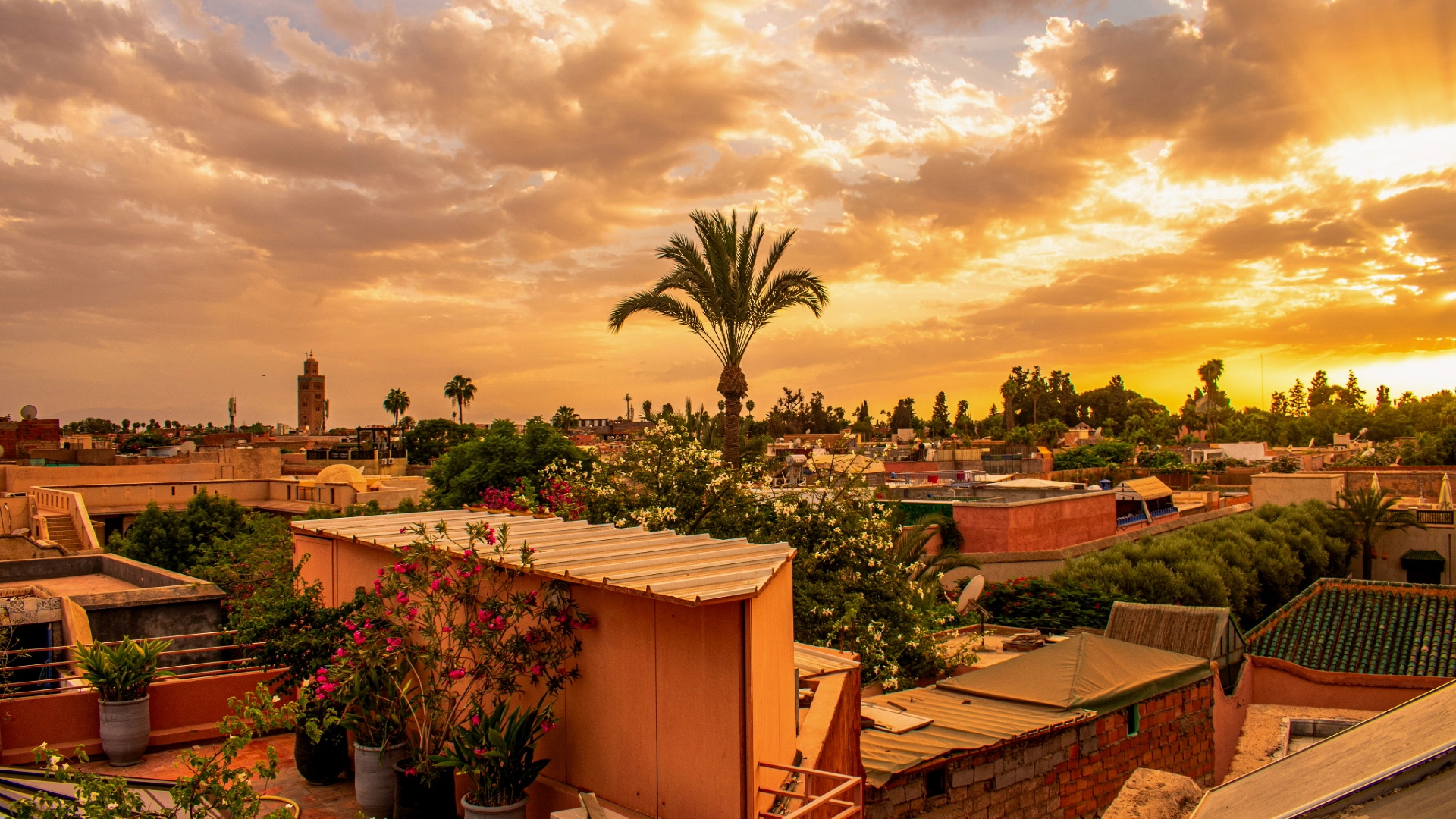 Marrakech rooftop at sunset Morocco no people