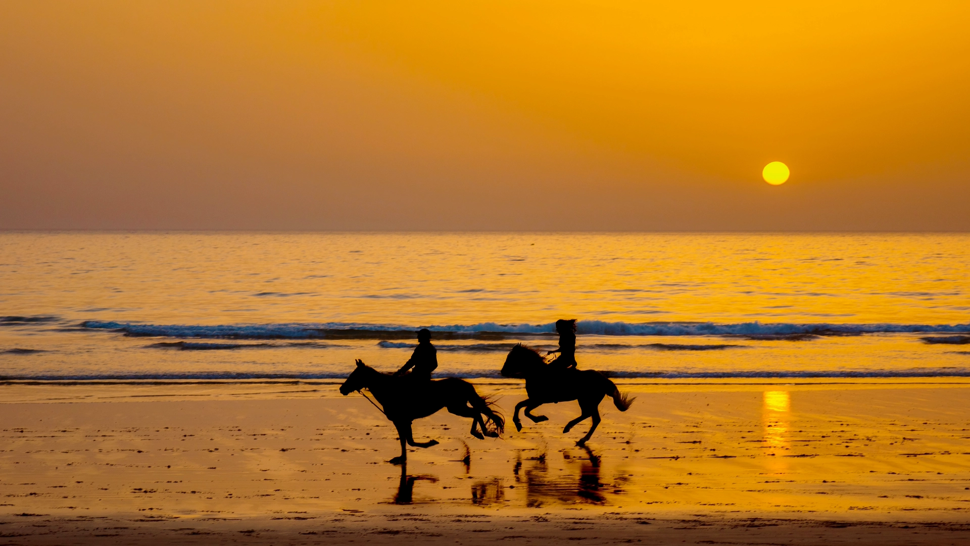 Larache Morocco horse riding beach sunset
