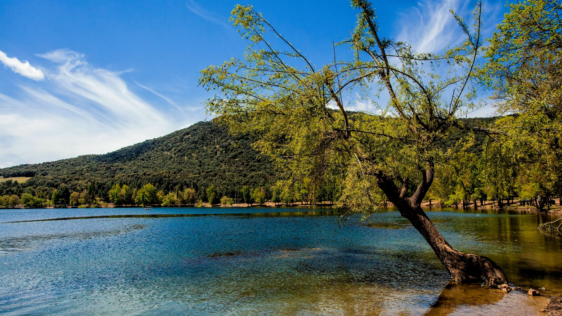 Dayet Aoua Morocco lake Ifrane