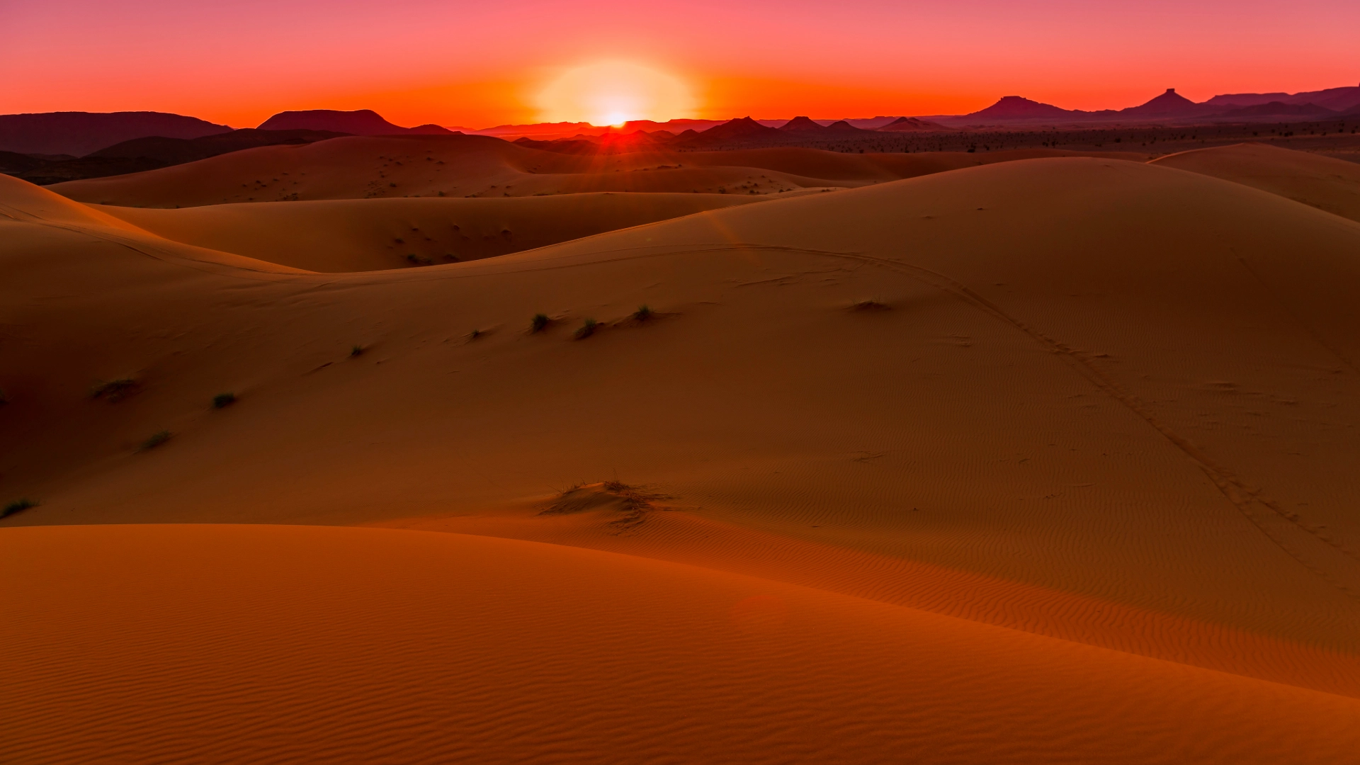 Erg Chebbi Morocco dunes sunset no people