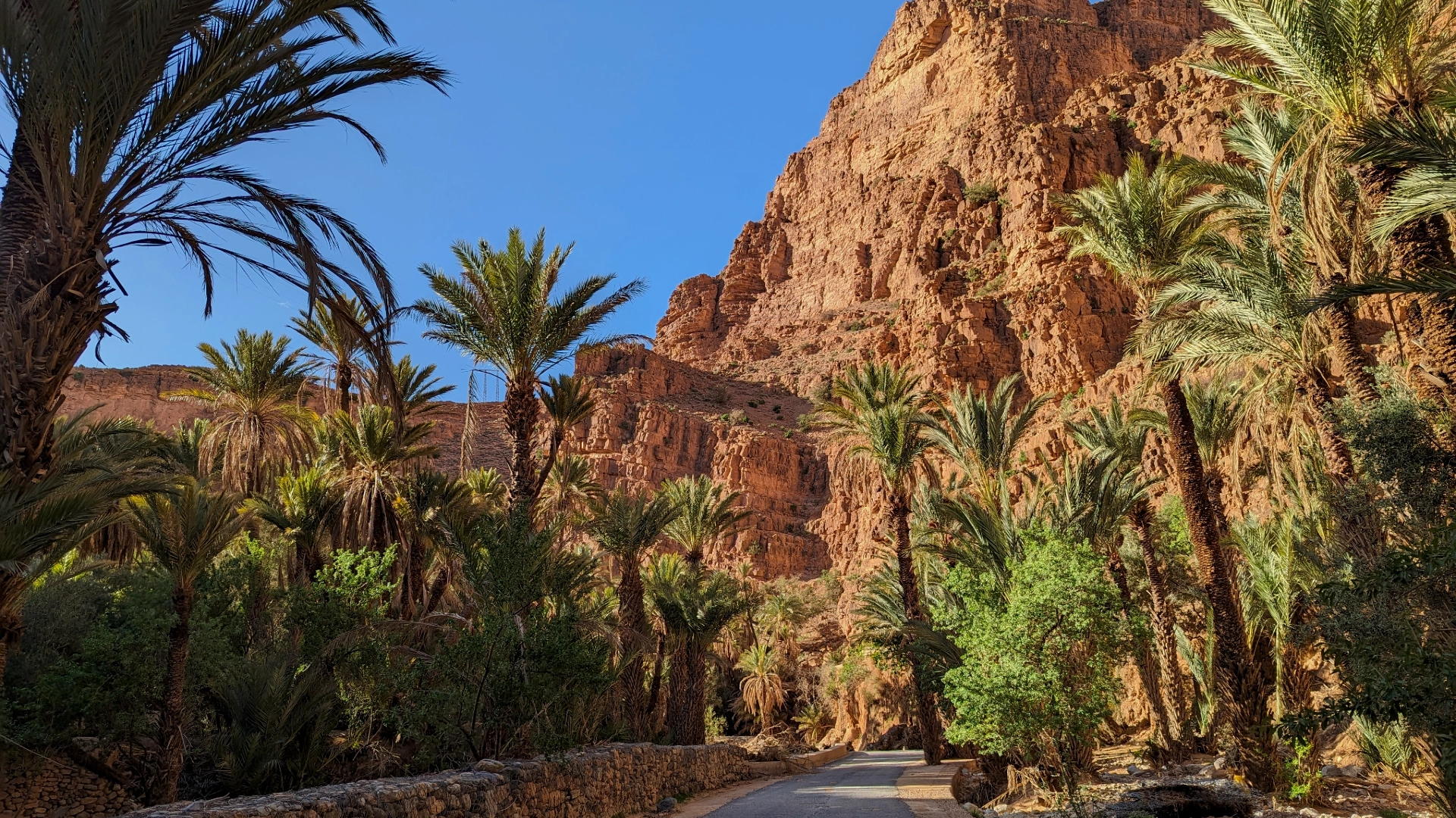 Ziz Valley Morocco road palm oasis