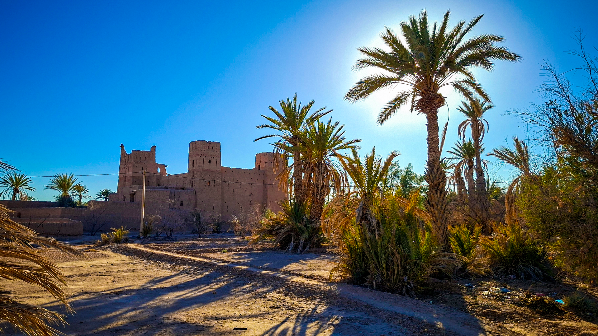Kasbah Amridil Skoura Morocco palm grove