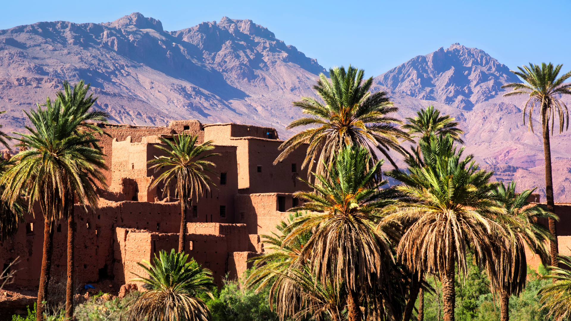 Ziz Valley Morocco palm oasis gorge road