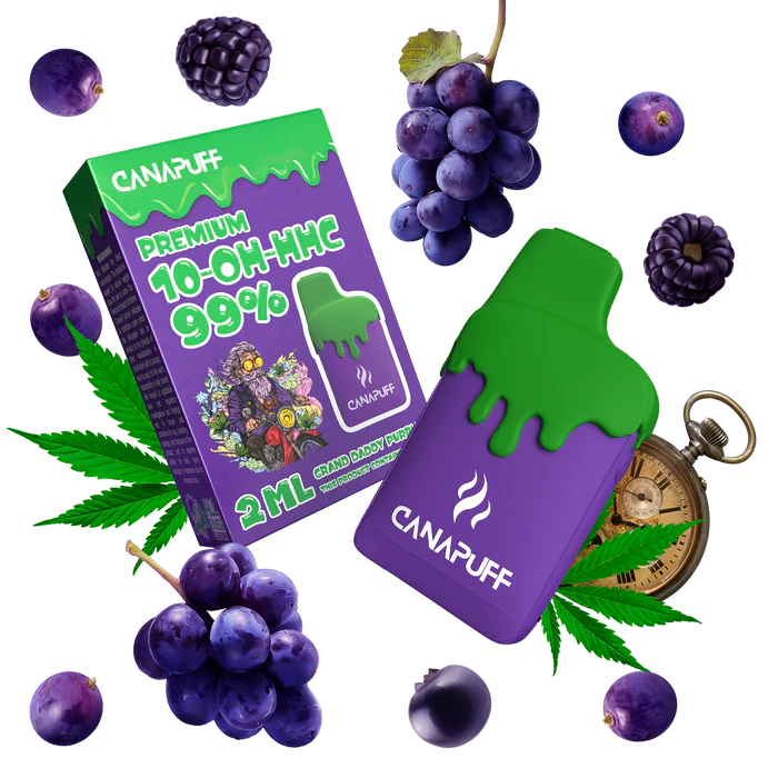 image of spa treatment room (for a salons & spa)