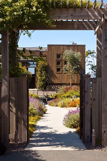 Pathway through wooden gate leading to modern wooden house surrounded by landscaped garden with flowers and shrubs.